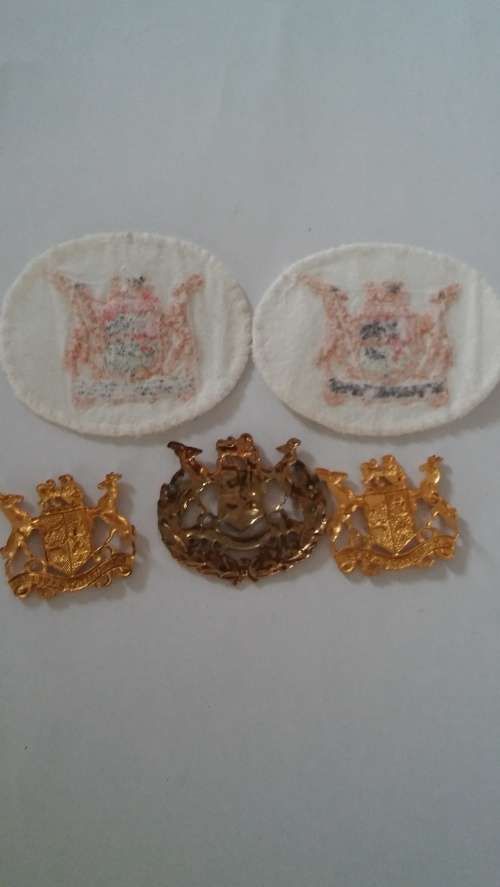 Warren Officer badge