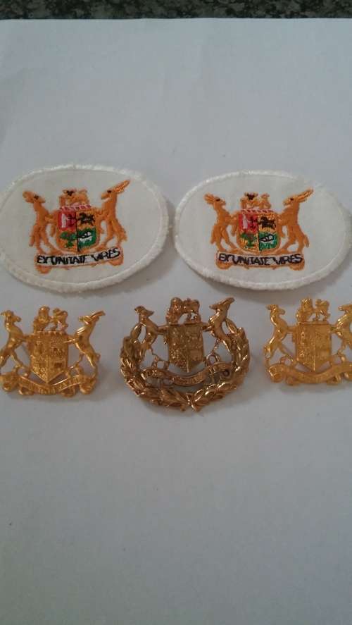 Warren Officer badge