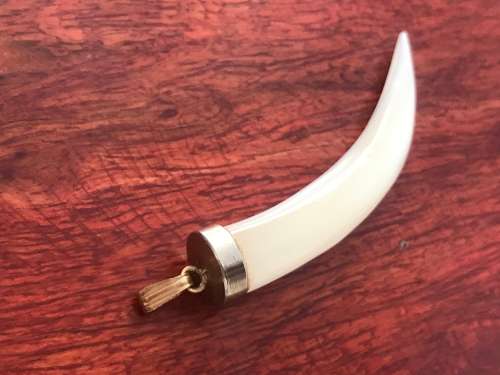 !! Tusk Pendant  !!