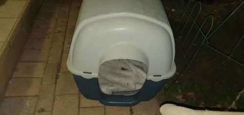 Dog house for medium size dog