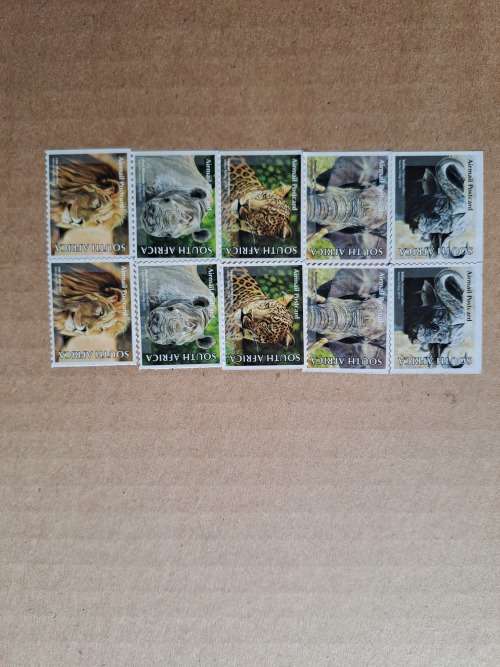 Original Marius Trollip Buffallo