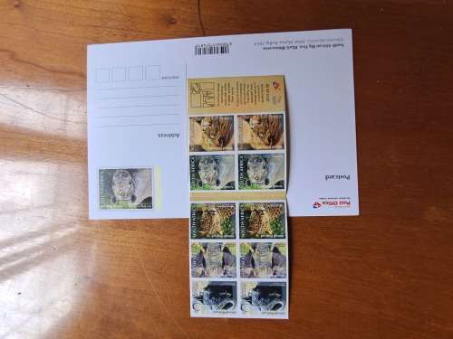 Original Marius Trollip Rhino