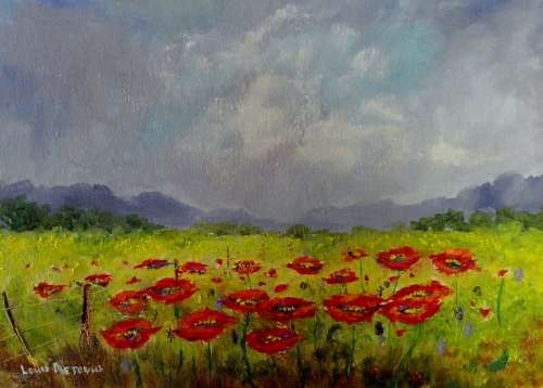 Field Poppies (oil on stretched canvas: 500mm x 350mm x 20mm)