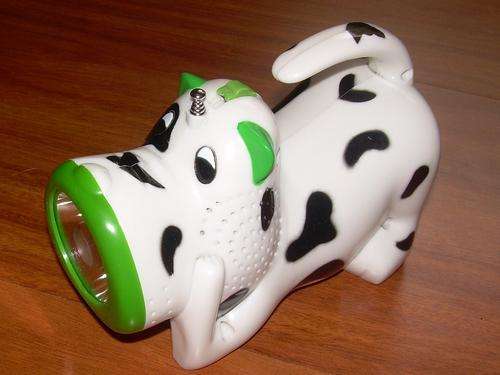 RADIO AND FLASH LIGHT!