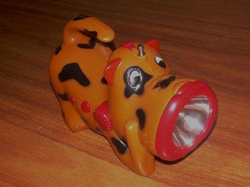 RADIO AND FLASH LIGHT!