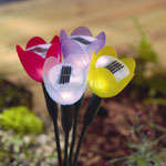 ***SET OF 2***PURPLE - Beautiful Flower shaped Solar powered Garden lights LED