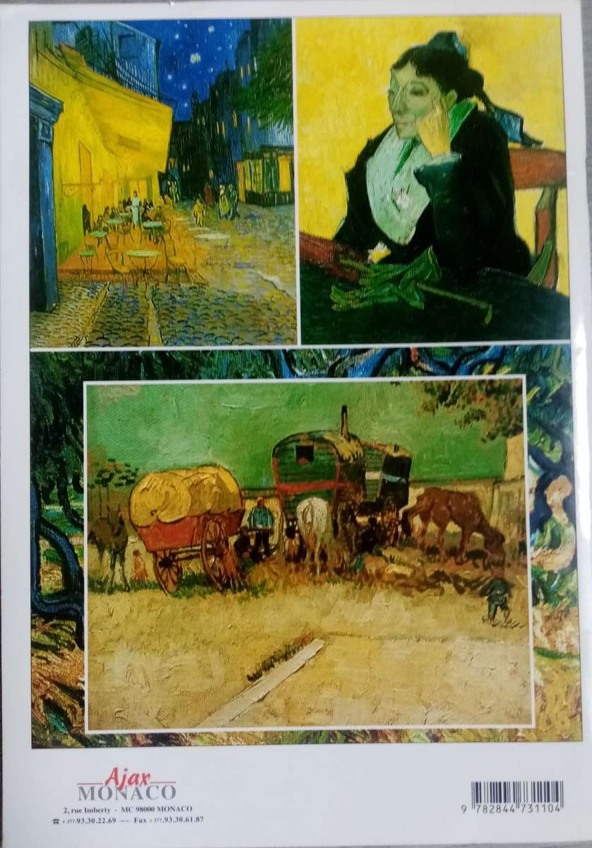 VAN GOGH IN PROVENCE - ENGLISH EDITION