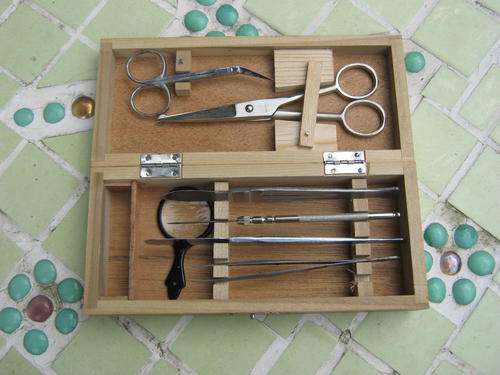 Dissection Kit - Boxed - Postage R30