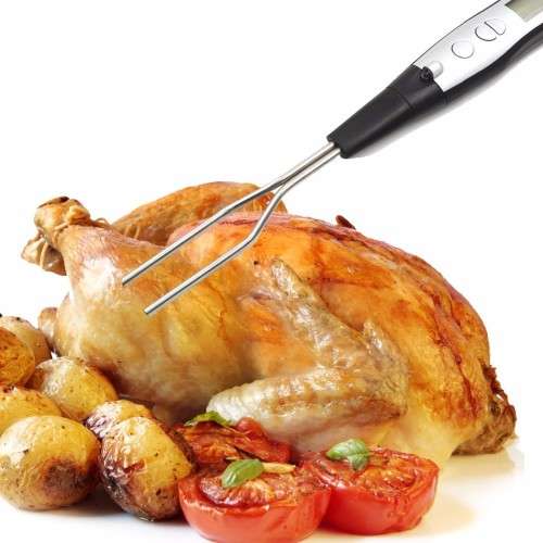PROFESSIONAL BBQ FORK WITH LCD