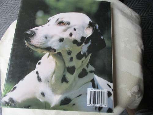 The Dog Lover's Companion by RICHARD DAWES