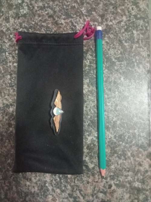 sandf para dispatch wings for step out