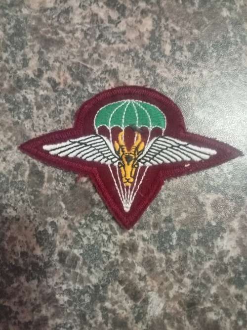 sandf 1 Para beret insignia