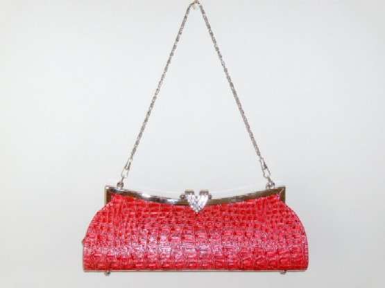Evening Hand Bag
