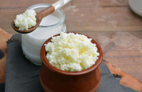Milk Kefir Grains
