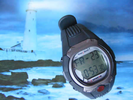 Heart Rate Pulse Watch (a Convenient way to test your heart rate )