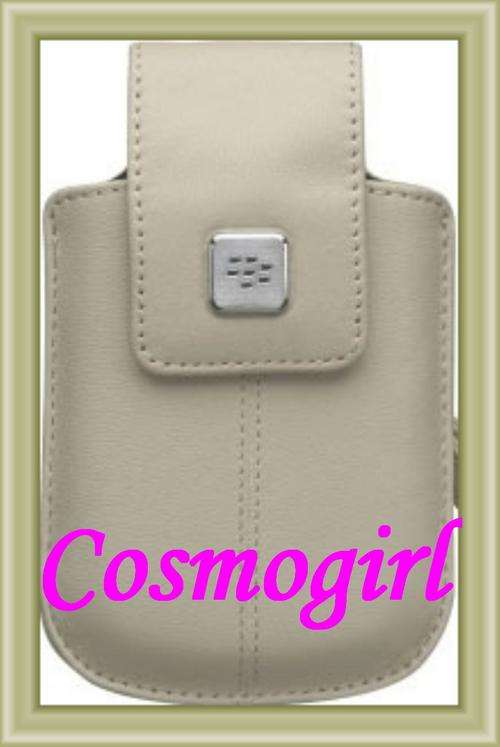FREE SHIPPING - BLACKBERRY TORCH 9800 POWER SAVE LEATHER POUCH