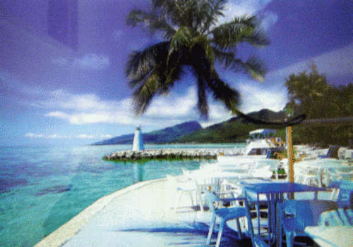 "Islet's Feelings" - 500 Piece Puzzle