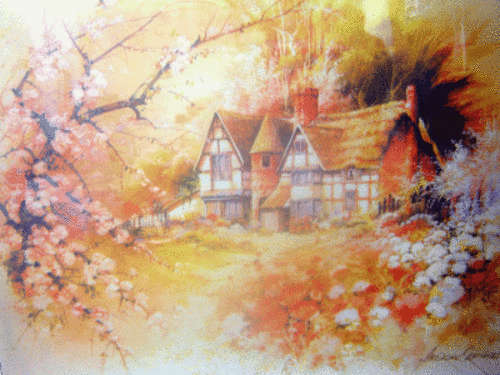 "Animal Spirits" - 500 Piece Puzzle