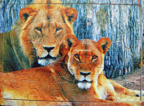 NEW!!! *** Lion & Lioness Wooden Puzzle ***
