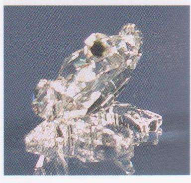 Swarovski  Frog