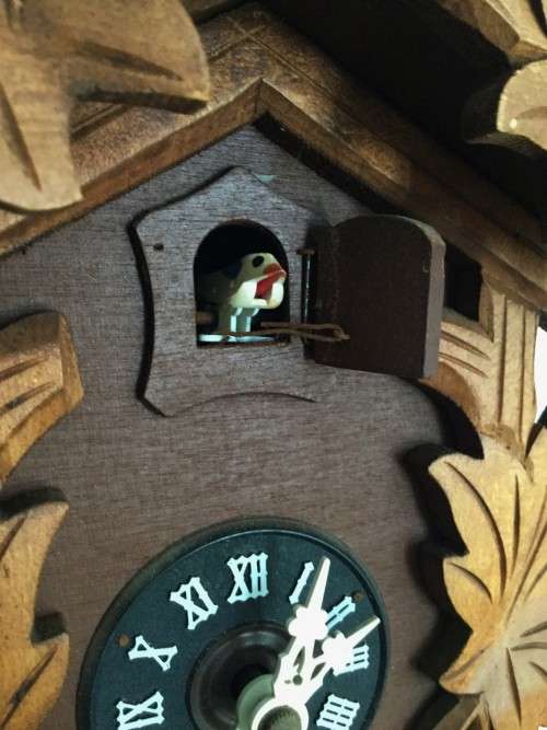 VINTAGE CUCKOO WALL CLOCK!