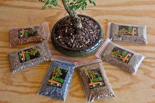 Bonsai tree & succulent ground cover 4 pack bundle