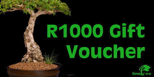 R1000.00 - Bonsai Tree Gift Voucher