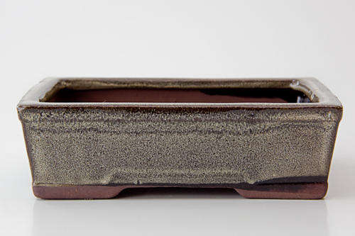 Glazed Bonsai Container, 15.5 x 12 x 6cm