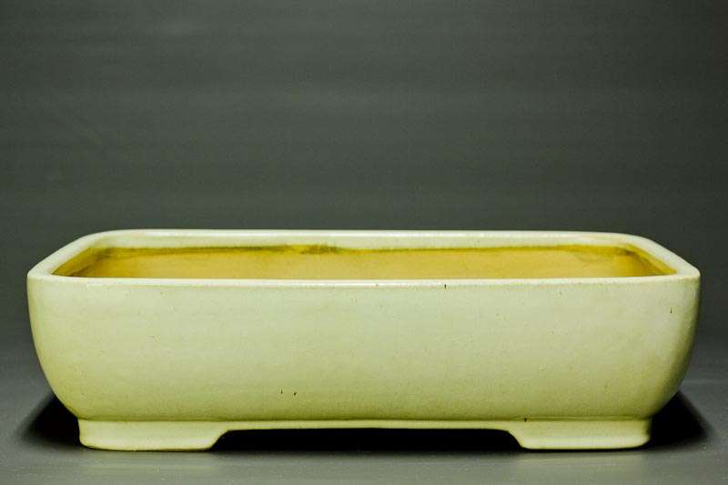 Large Rectangular Exhibition Quality Bonsai Container