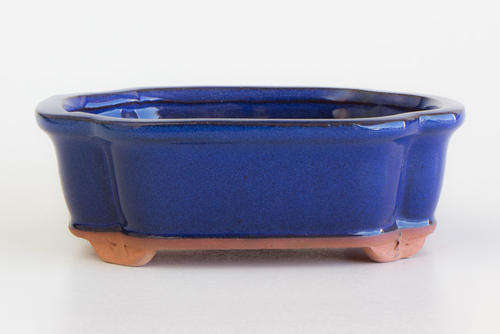Glazed Bonsai Container, 15.5 x 12 x 5.5cm