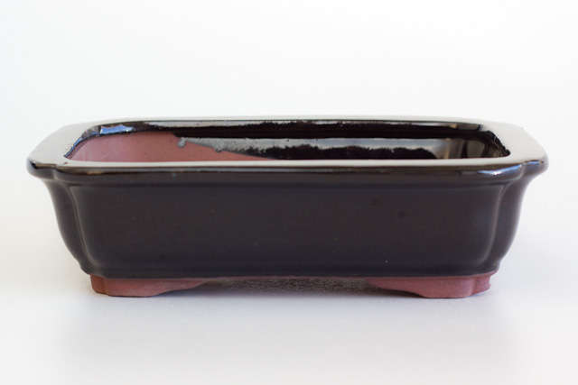 Glazed Bonsai Container, 18 x 13.5 x 6cm