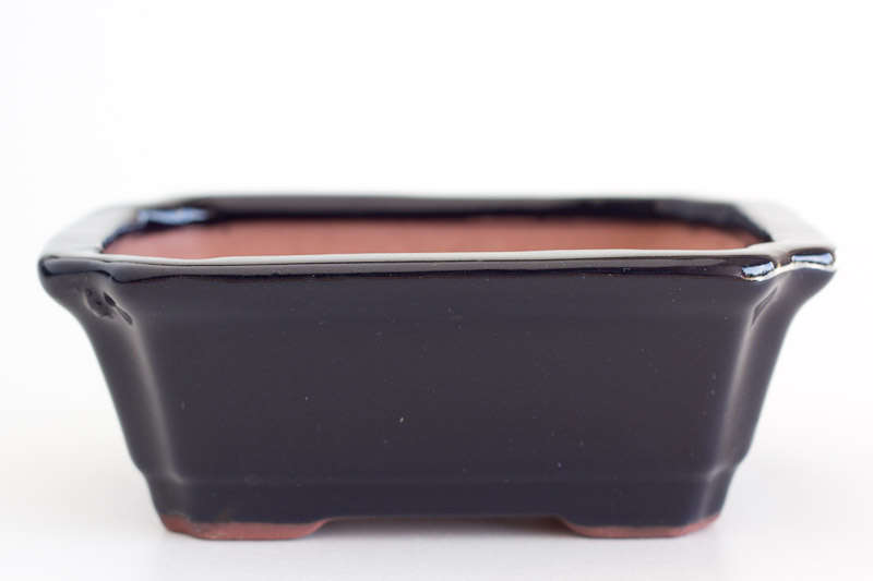 6" Glazed Bonsai Container