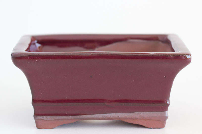 Extra Height Glazed Bonsai Container, 12 x 9 x 5cm