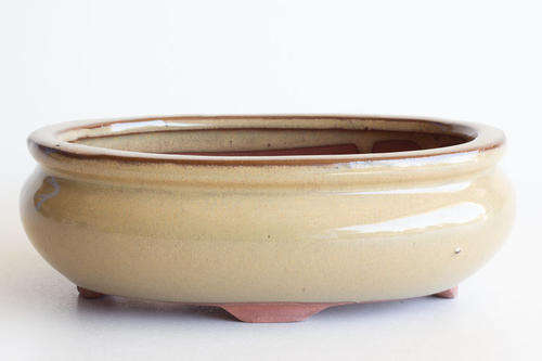 Glazed Bonsai Container, 18 x 13.5 x 6cm