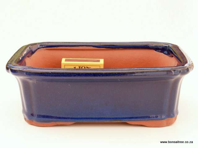 Glazed Rectangular Bonsai Container