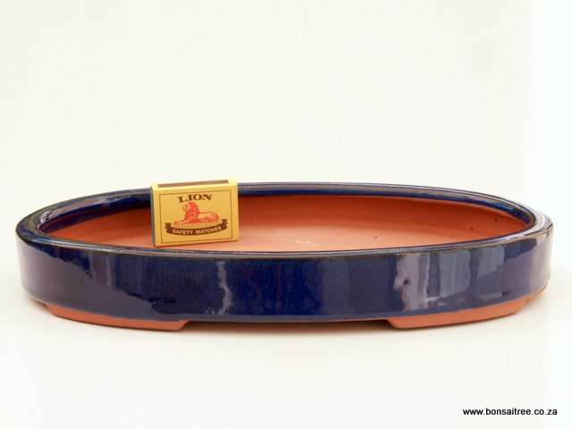 Glazed Oval Bonsai Container