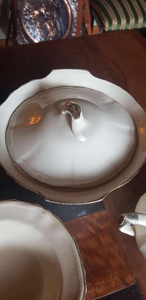 Vintage Alfred Meakin Dinner set incomplete