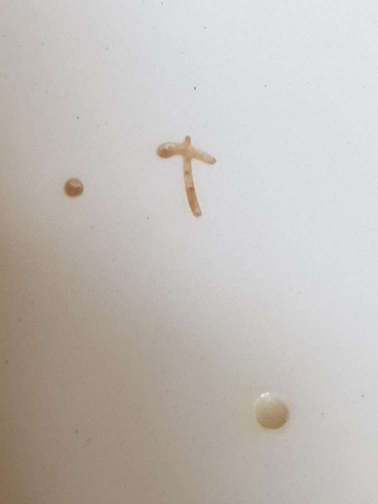 Old English Johnson Bros Lidded Soup Tureen