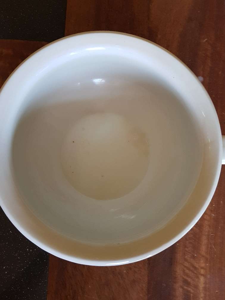 Beautiful Cecil Hotel Chamber Pot. Marked