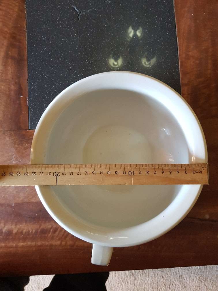 Beautiful Cecil Hotel Chamber Pot. Marked