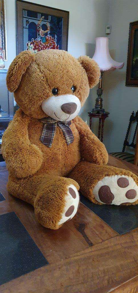 Huge 1 Meter Tall Teddy Bear