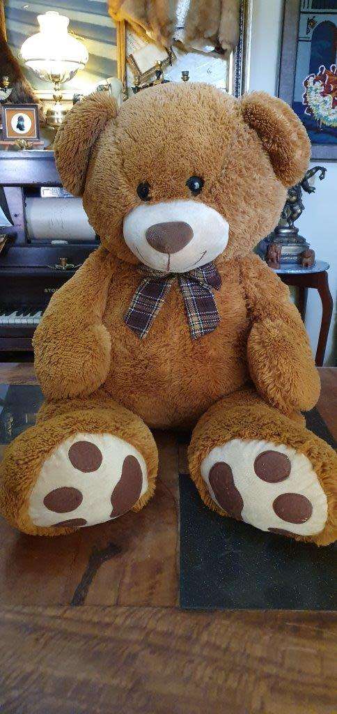 Huge 1 Meter Tall Teddy Bear