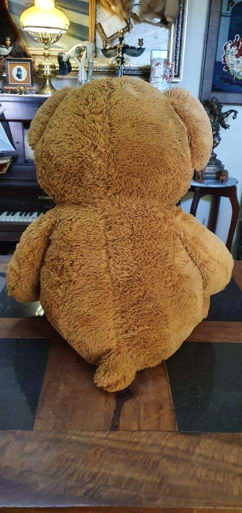 Huge 1 Meter Tall Teddy Bear