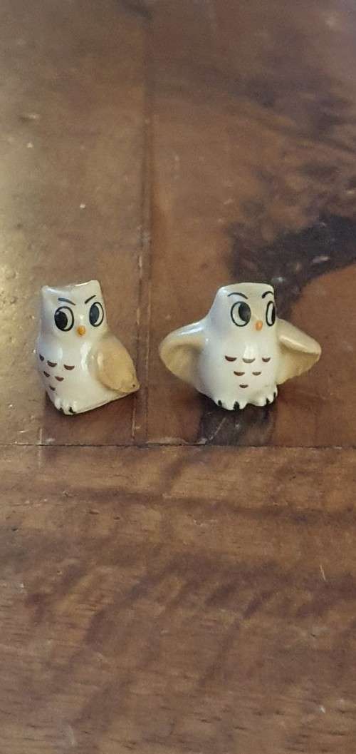 Two Small Wade Owls