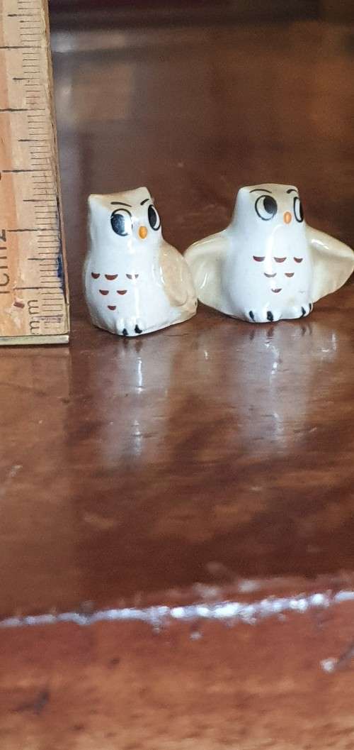 Two Small Wade Owls