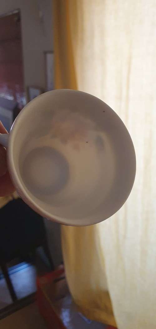 Beautiful Porcelain Demitasse Tea Set