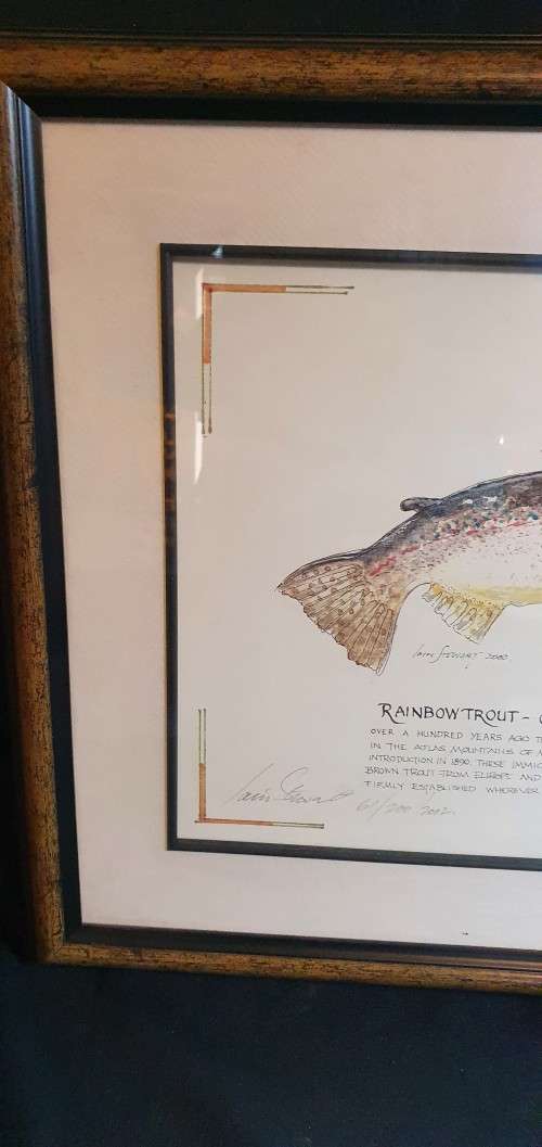 Lain Steward 61/200/2002 Limited Edition Print