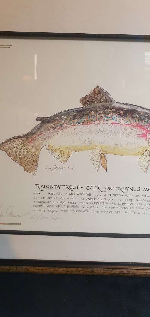 Lain Steward 61/200/2002 Limited Edition Print