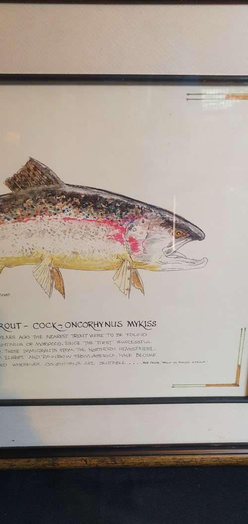 Lain Steward 61/200/2002 Limited Edition Print