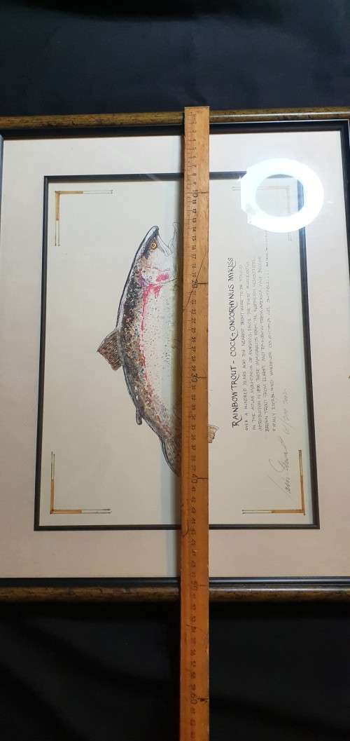 Lain Steward 61/200/2002 Limited Edition Print